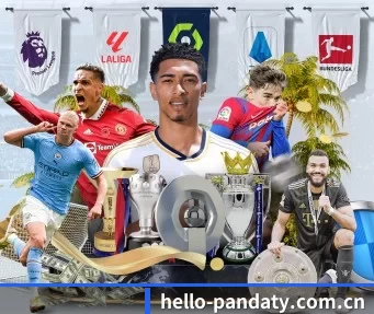 hello-pandaty.com.cn APP